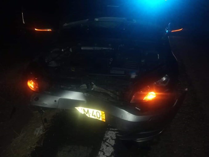 Oito javalis morrem em colisão que destruiu carro em Beja