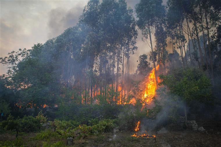 Incêndio em Tomar obriga a evacuação da aldeia de Agroal