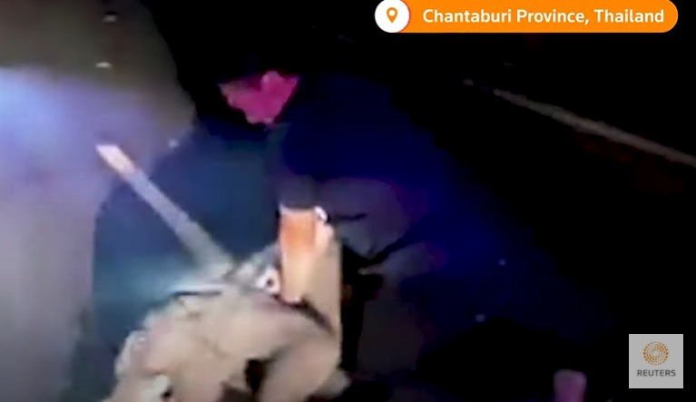 Paramédico reanima elefante bebé numa estrada na Tailândia | VÍDEO