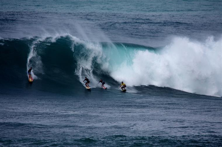 Surf. Organizações pedem regresso ao mar a 3 de maio