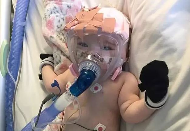 Bebé de seis meses com problemas cardíacos venceu batalha contra covid-19 | Vídeo