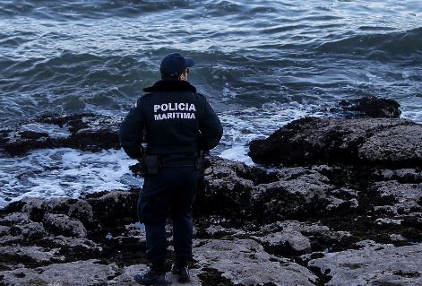 Cadáver de golfinho-bebé encontrado em praia do Barreiro