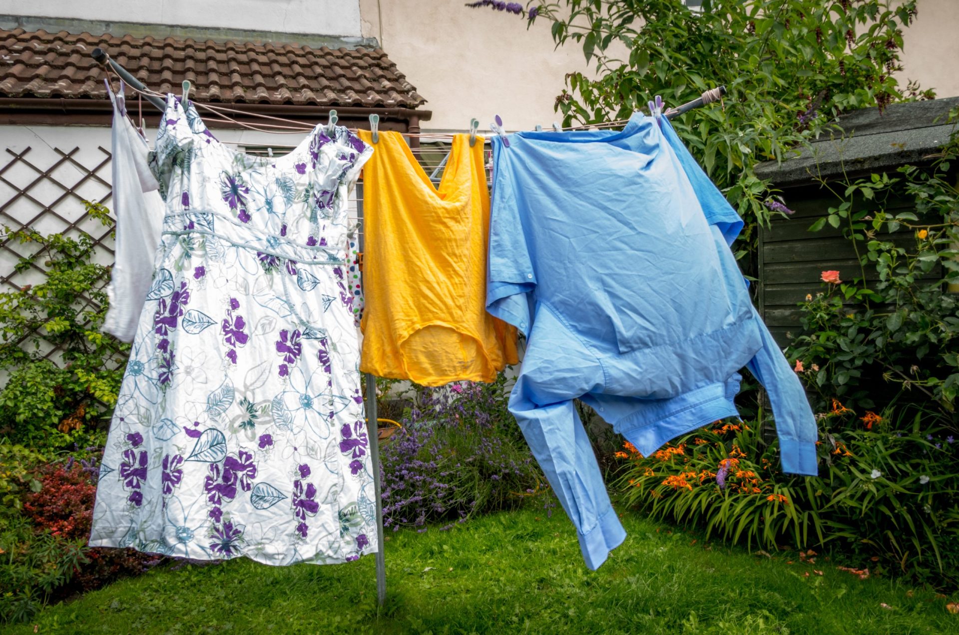 Como lavar e desinfetar a roupa? Eis os conselhos da DGS