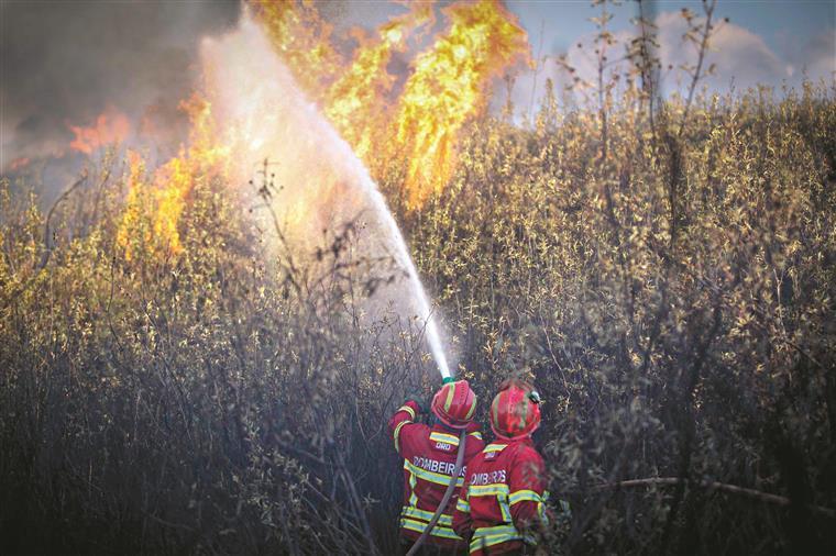 Bombeiro morre em incêndio na serra da Lousã