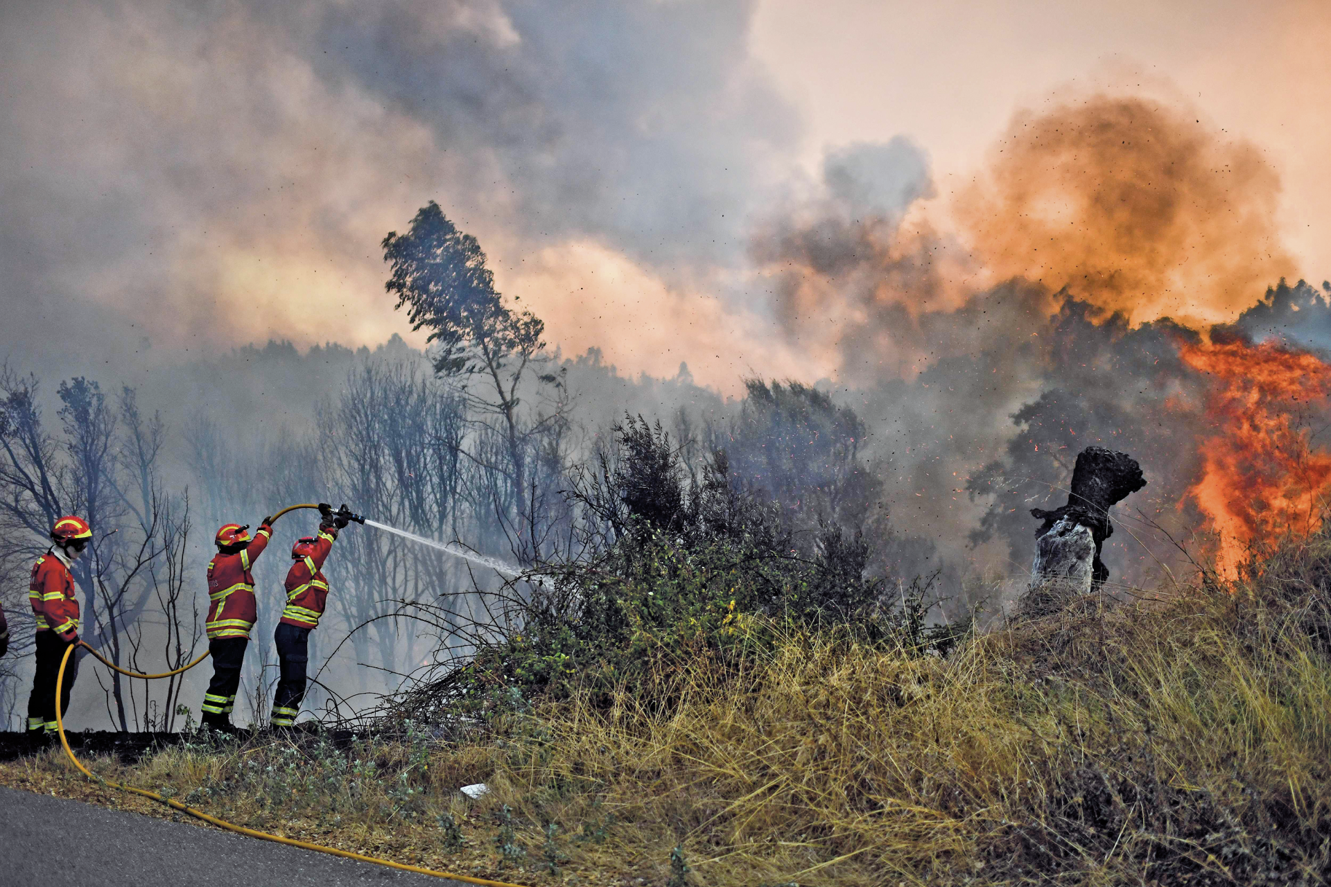 Incêndio em Oleiros dado como dominado