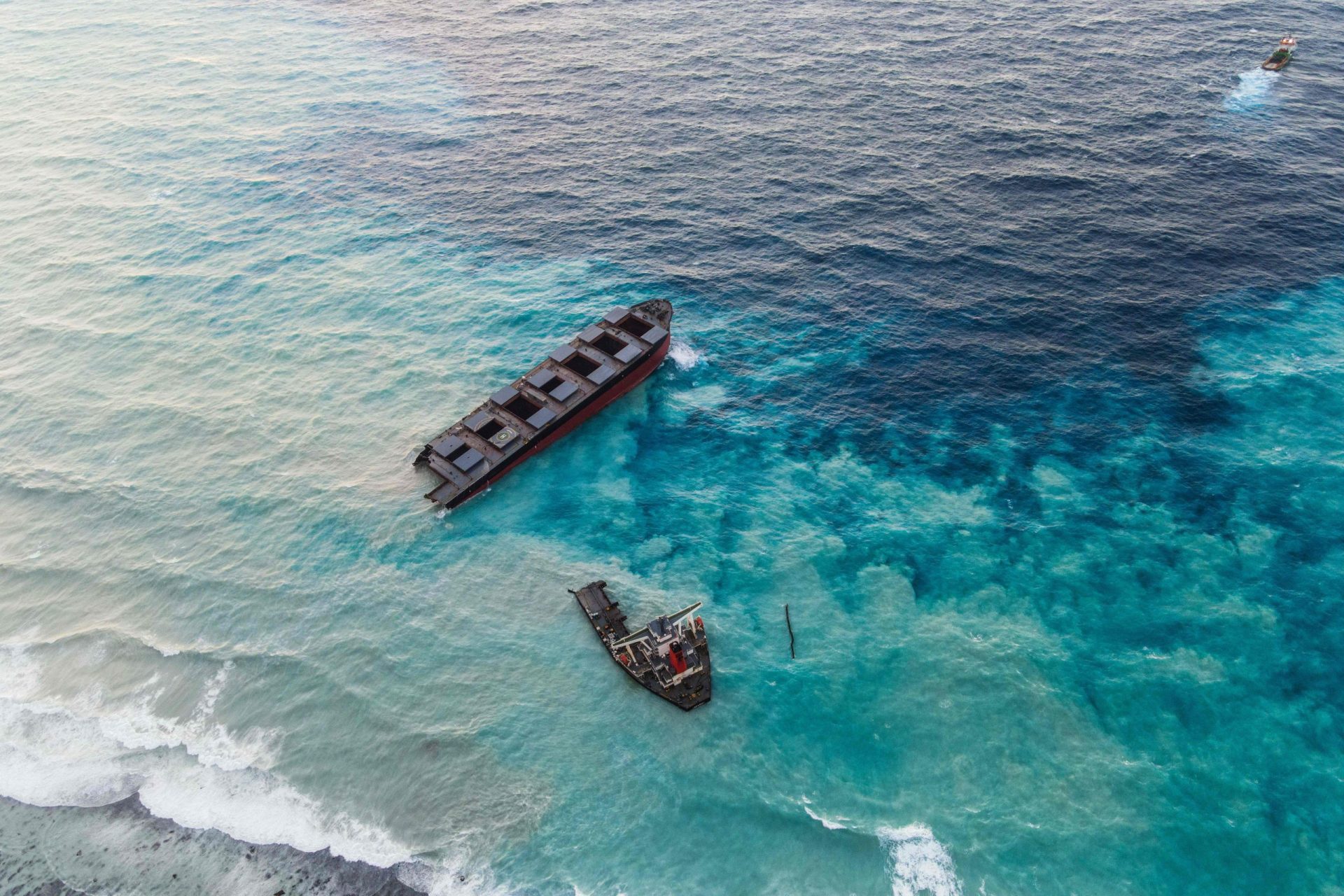 Mais de uma dezena de golfinhos mortos dão à costa depois do derrame de petróleo nas Maurícias