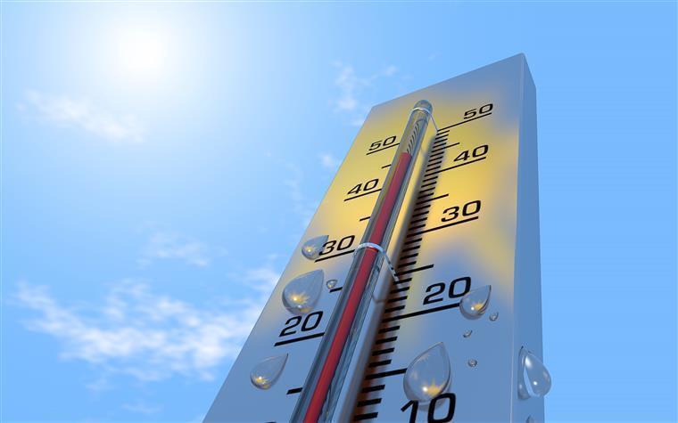 Temperaturas poderão chegar aos 43ºC esta quinta-feira. Proteção Civil alerta para &#8220;risco de incêndio máximo/muito elevado&#8221;