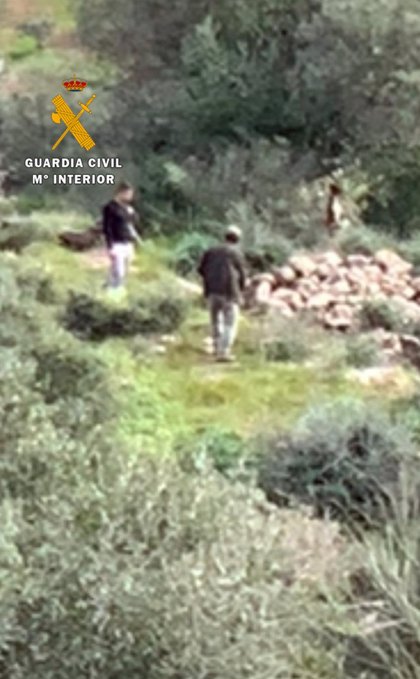 Pai e filho enforcam cão numa oliveira e depois atiram-no de um penhasco
