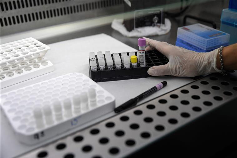 Centro de investigação de Coimbra testa 2.000 fármacos contra o novo coronavírus