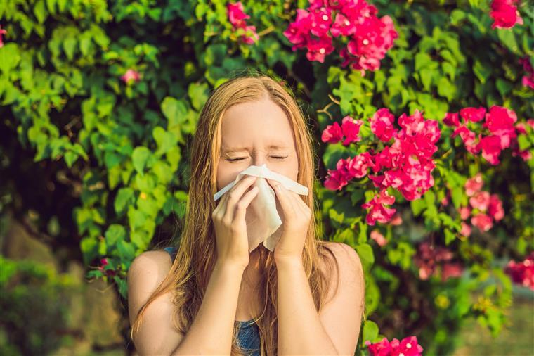 Sofre de alergias? Níveis de pólen vão estar muito elevados nos próximos dias