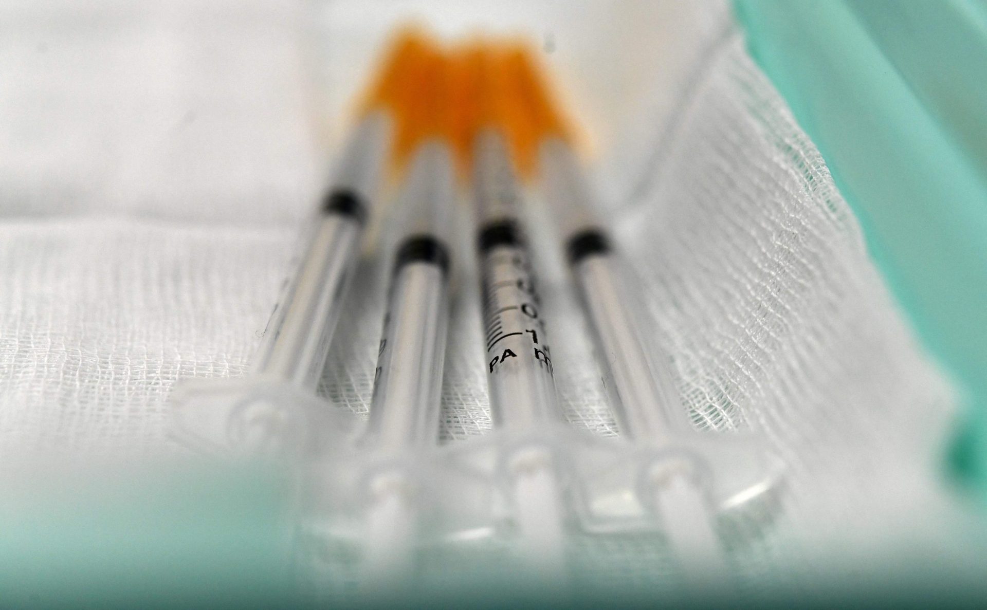 Vacina portuguesa pronta para começar ensaios clínicos