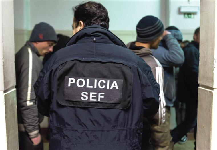SEF deteta 10 imigrantes ilegais numa exploração agrícola de mirtilos em Estremoz