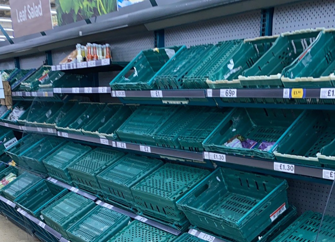 Ausência “pingdémica”. App britânica deixa 600 mil pessoas em isolamento e prateleiras dos supermercados vazias