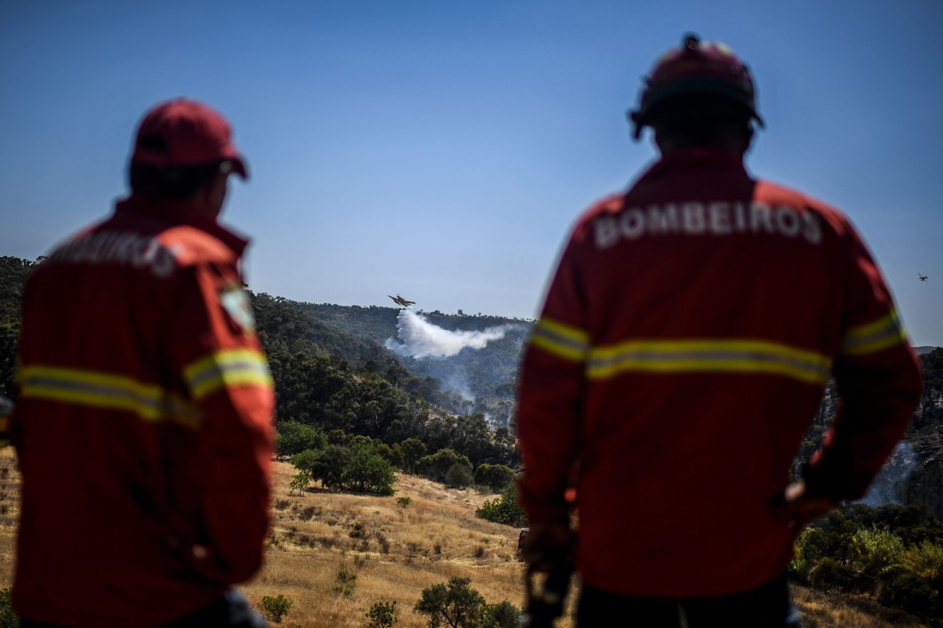 Fogo em Odemira continua ativo e já queimou “muitas colmeias” e zona de medronhal