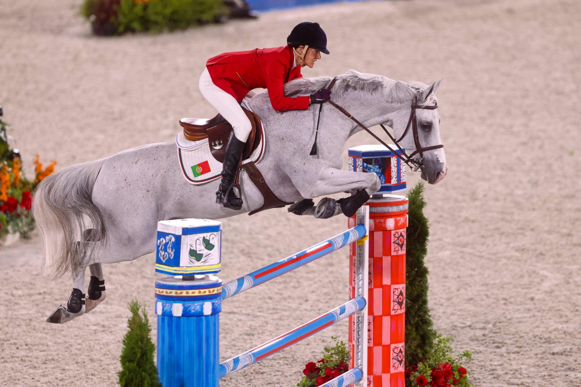 Sem qualquer erro, Luciana Diniz e o seu cavalo qualificam-se para a final do concurso de obstáculos