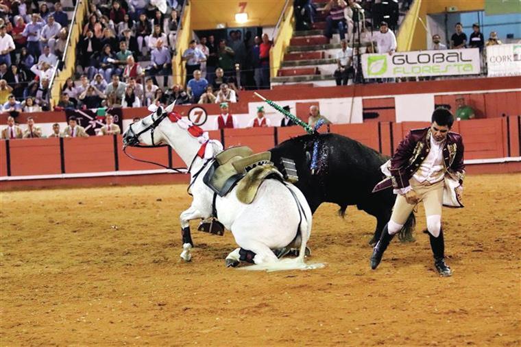 Viana do Castelo. ProToiro defende perda de mandatos por demolição de praça de touros