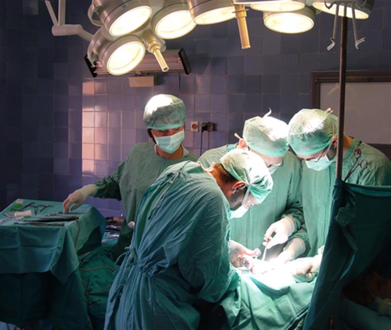 Universidade de Coimbra quer recorrer a inteligência artificial para revolucionar transplantação renal