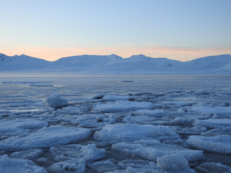 Oceano Antártico. Gelo atinge o nível mais baixo em mais de 40 anos