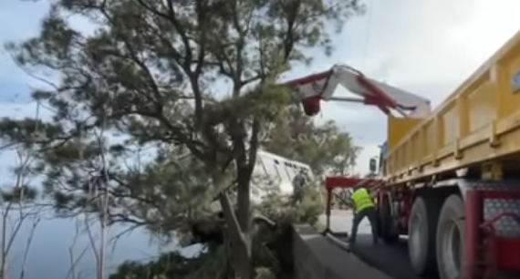 Autocarro com 20 passageiros despista-se e fica suspenso na beira de um precipício no Funchal