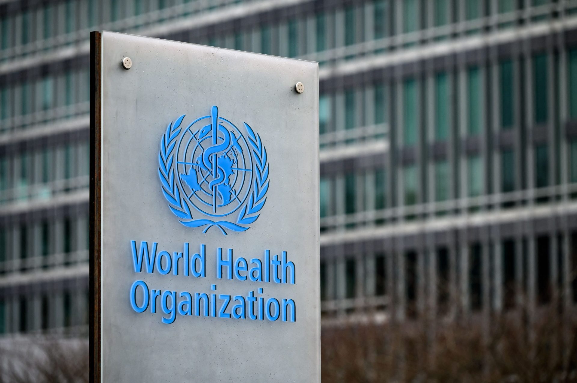 OMS confirma 92 casos de infeção humana por monkeypox em 12 países