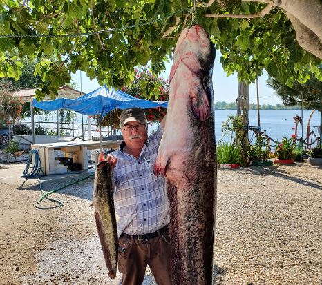 Homem pescou peixe com quase dois metros e 60 quilos no rio Tejo