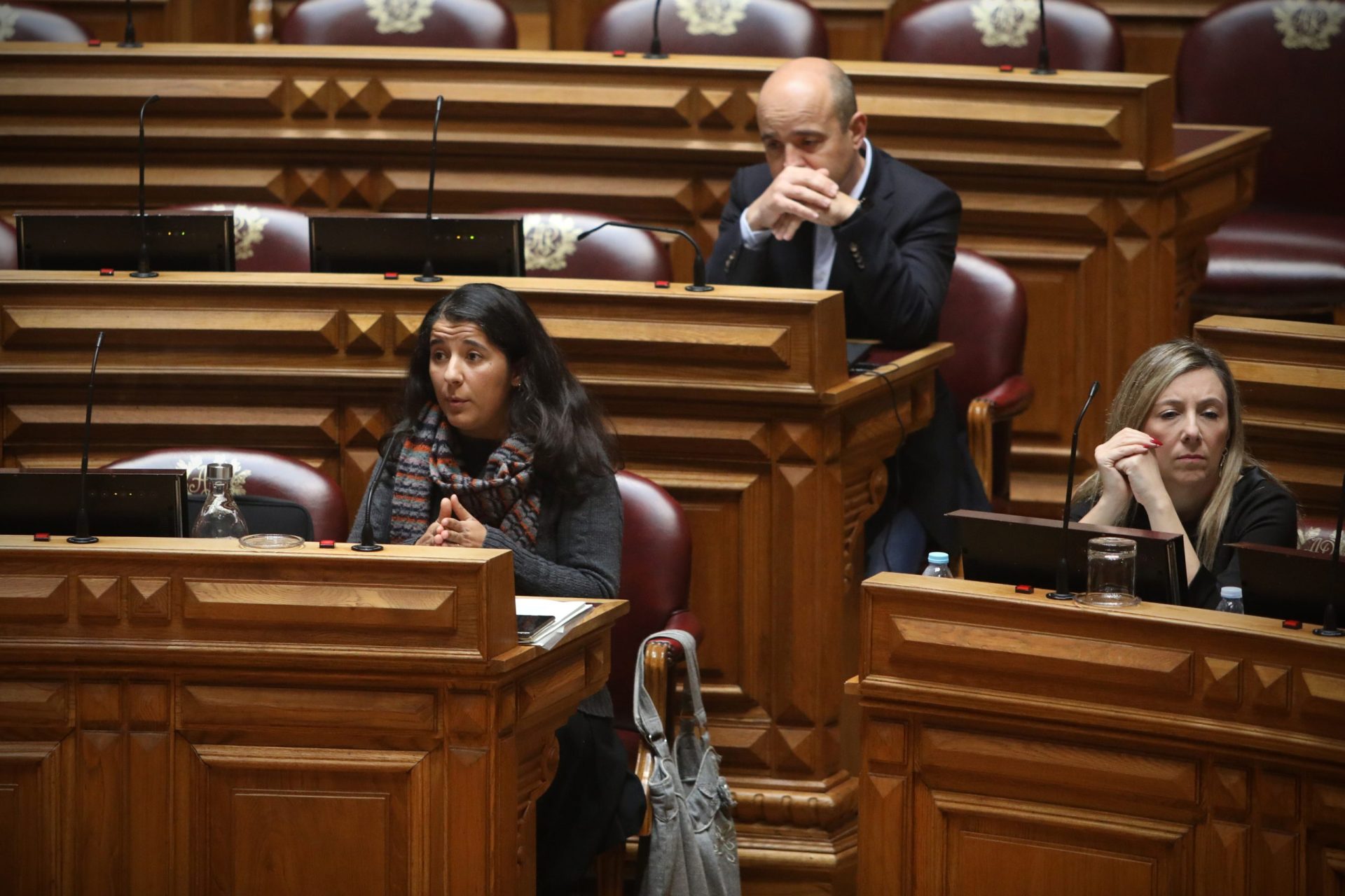 Paula Santos continua como líder parlamentar do PCP
