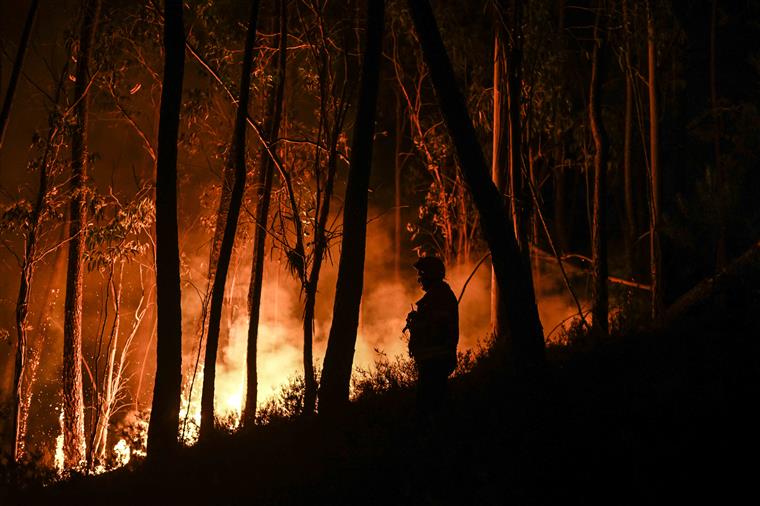 Cerca de 200 operacionais fazem frente a fogo próximo de povoação em Mangualde