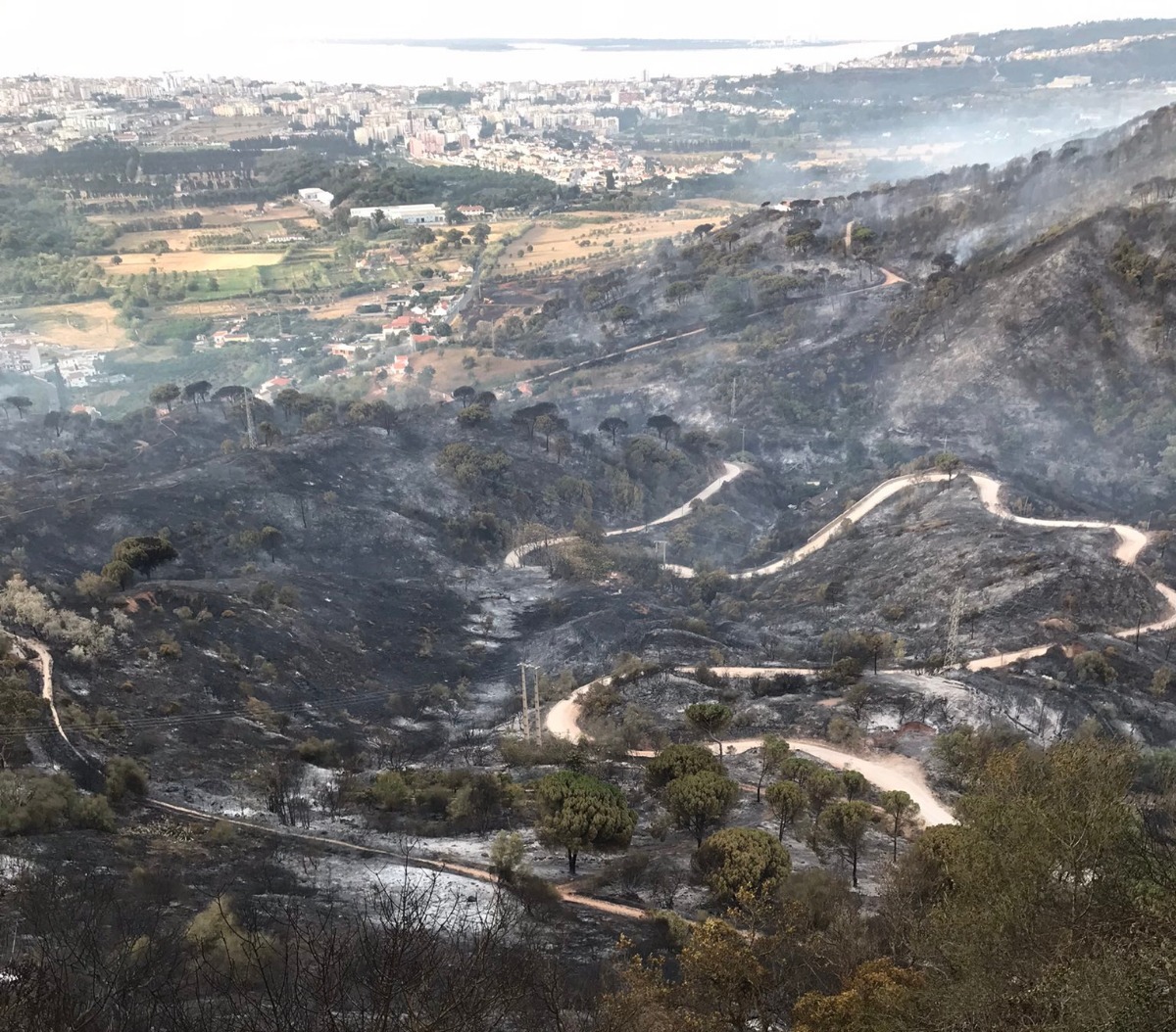 Balanço provisório aponta para cerca de 430 hectares de área ardida e 12 feridos no incêndio em Palmela