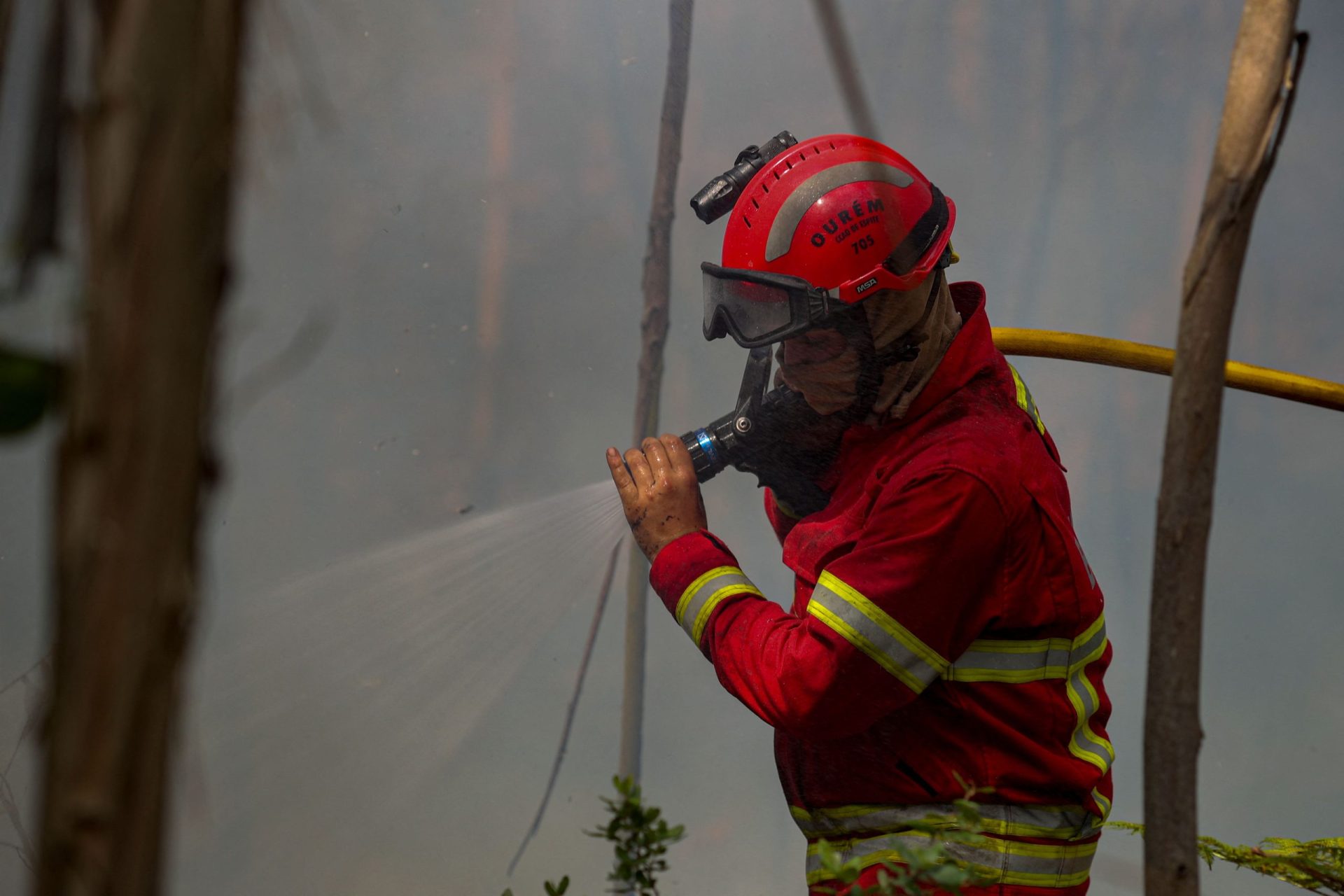 Incêndio em Vale da Pia, Leiria, em fase de resolução
