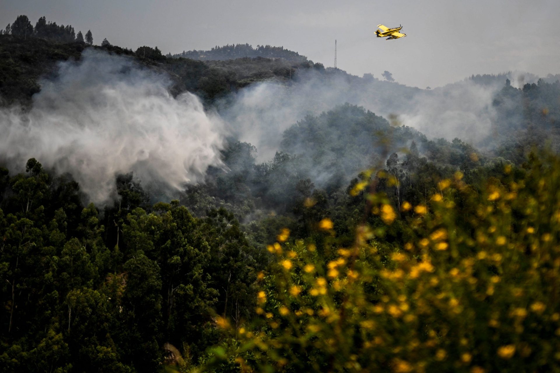 Incêndio no Lindoso atingiu quase 1.400 hectares