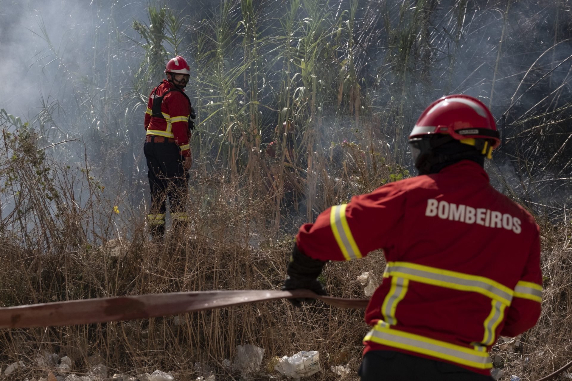 Autarca de Vila Pouca de Aguiar estima que mais de mil hectares foram consumidos pelas chamas
