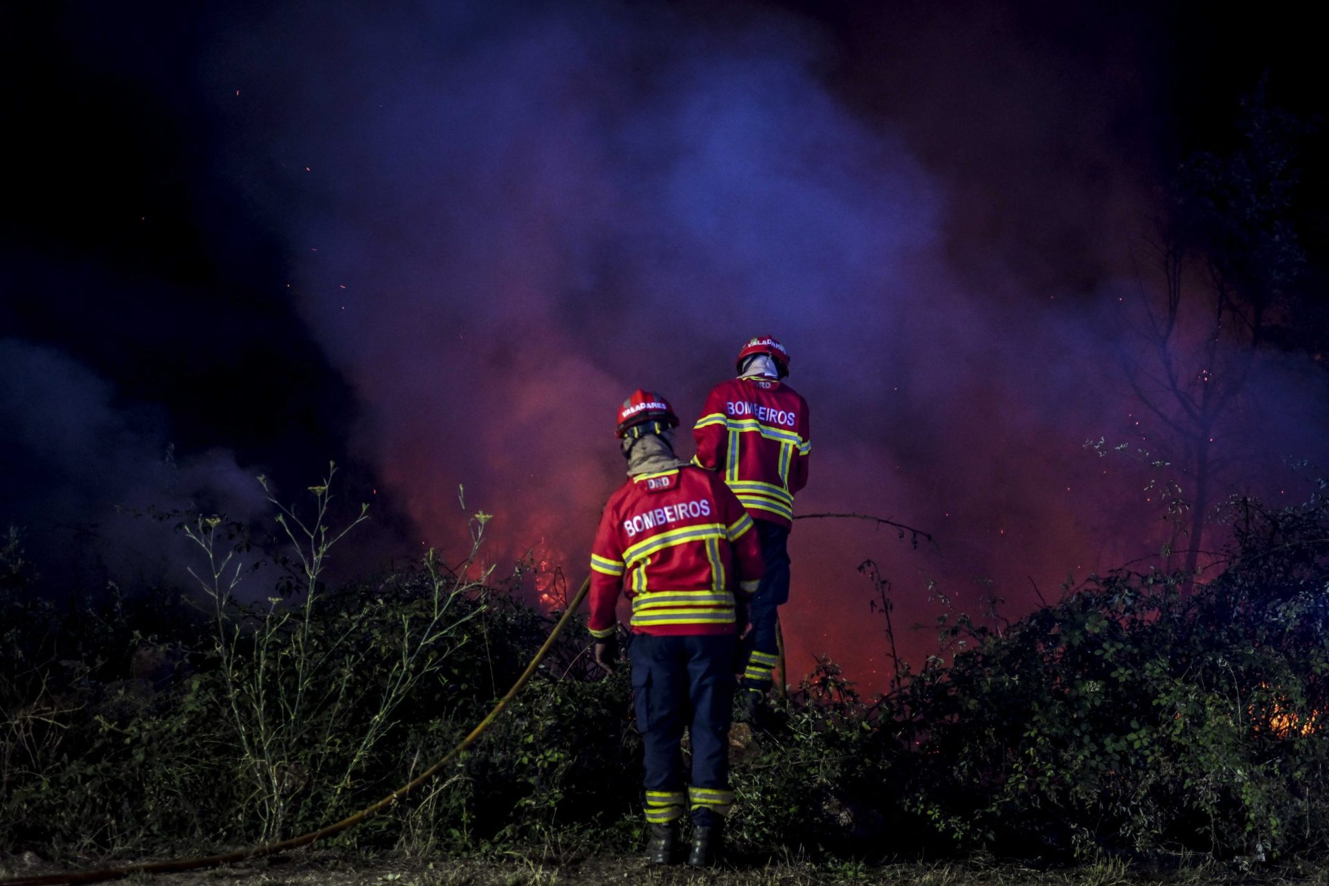 Incêndio em Alijó obriga corte do trânsito na Autoestrada 4 entre Vila Real e Alijó