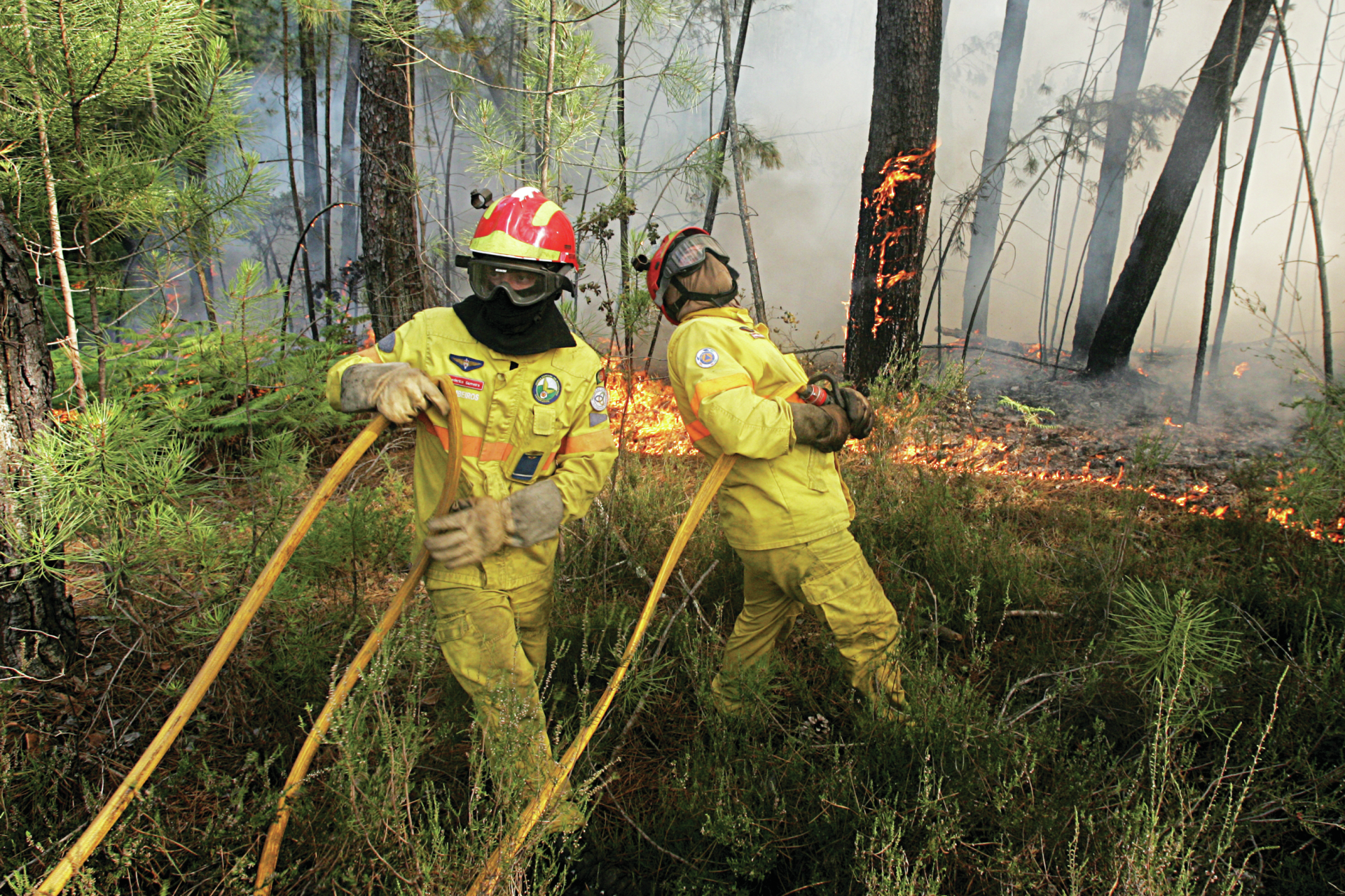 Incêndio em Gouveia mobiliza mais de 240 operacionais