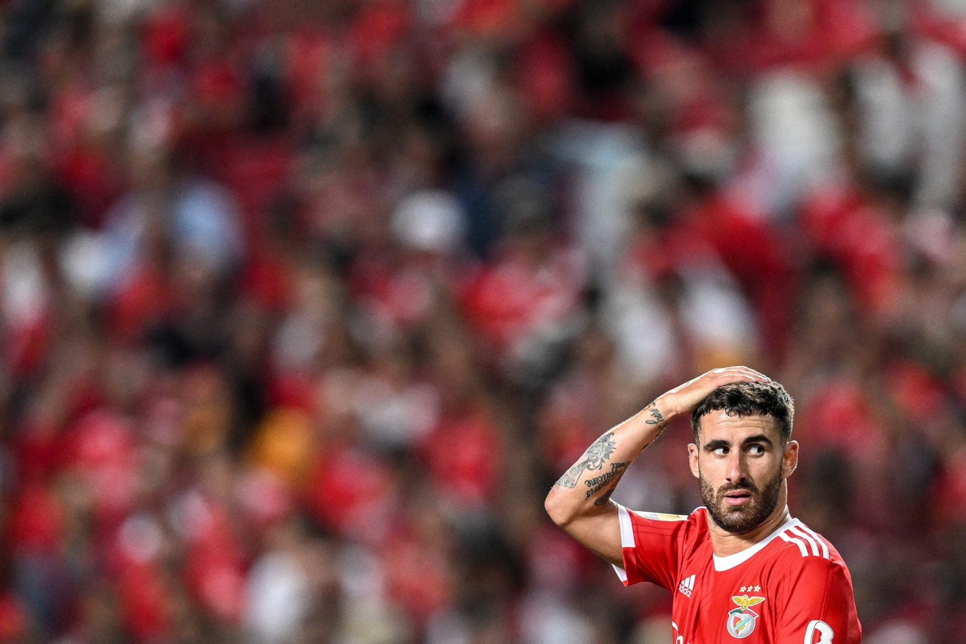 Liga Europa. Benfica avança para os quartos-de-final