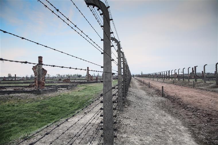 Alemanha irá pagar mais 1,2 mil milhões às vítimas do Holocausto