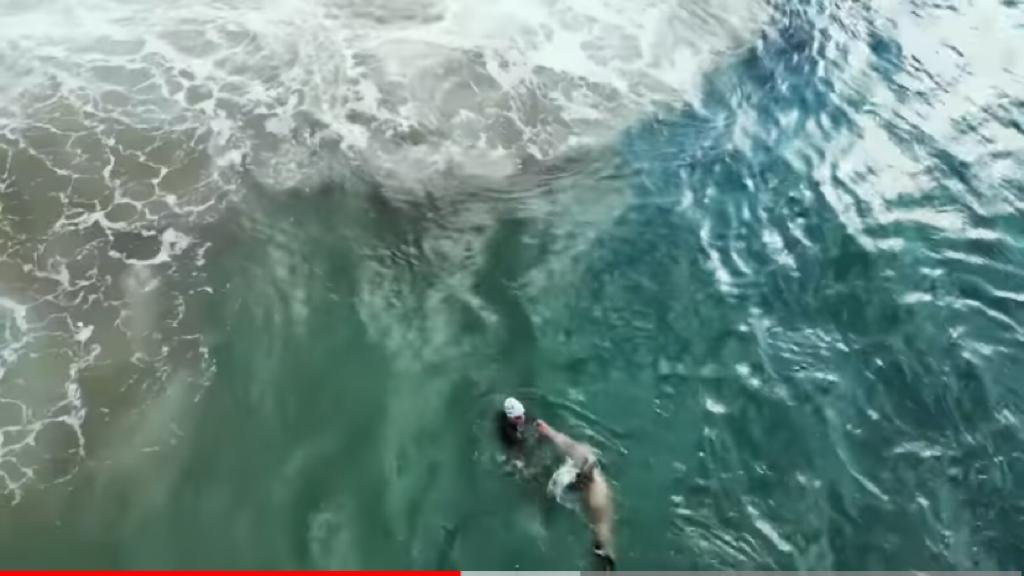 Triatleta português mordido por uma foca na Califórnia