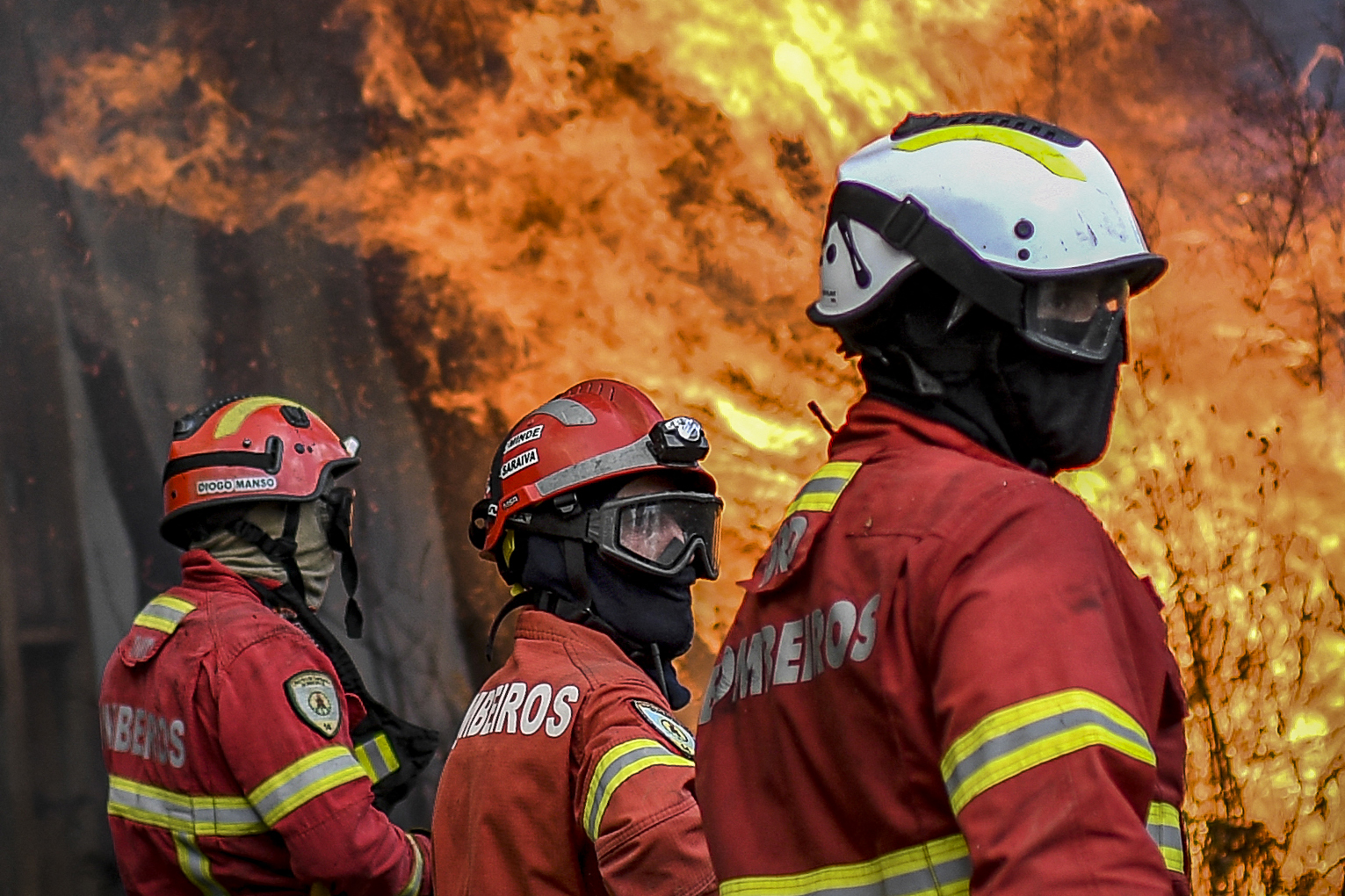 Mais de 55 mil hectares ardidos e 85 milhões de prejuízos, eis as contas dos incêndios em 2023