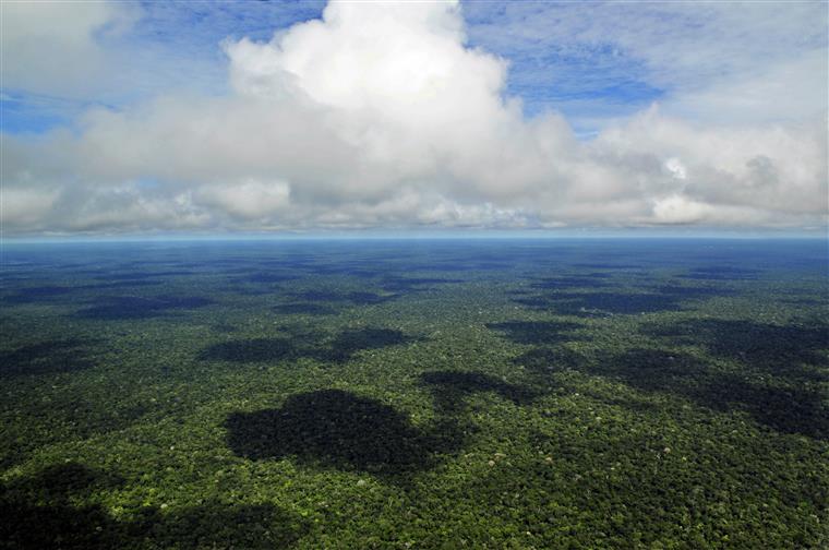 Amazónia regista maior número de incêndios em 12 anos