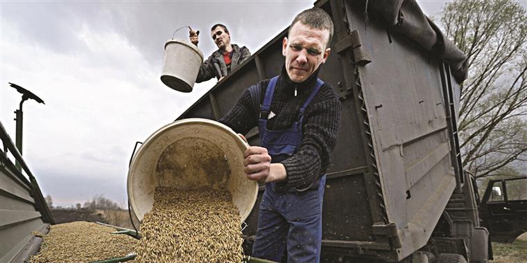 Prorrogado acordo para exportar cereais pelo Mar Negro