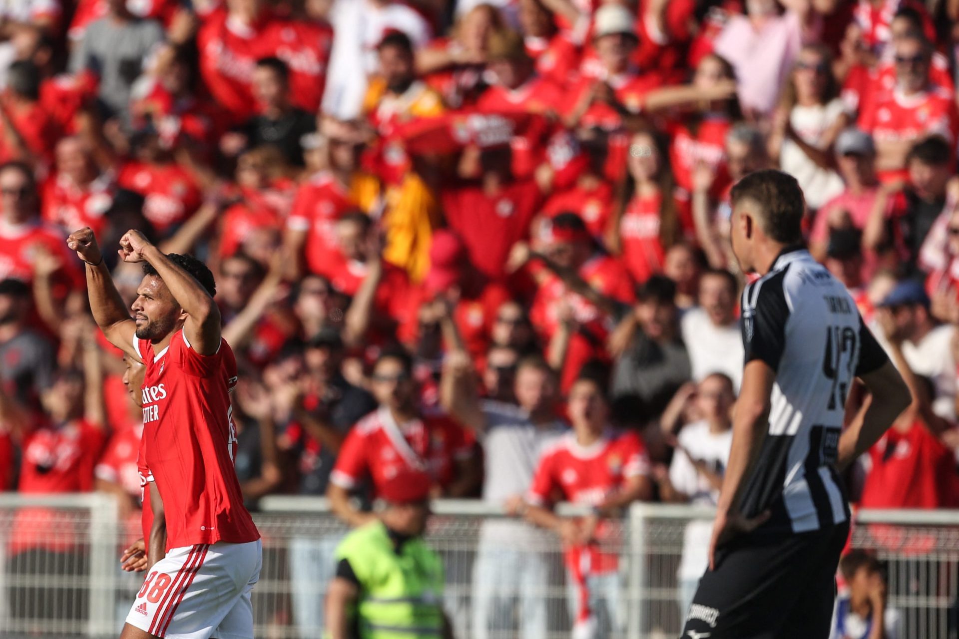 Goleada do Benfica sobre Portimonense quase que sabe a título
