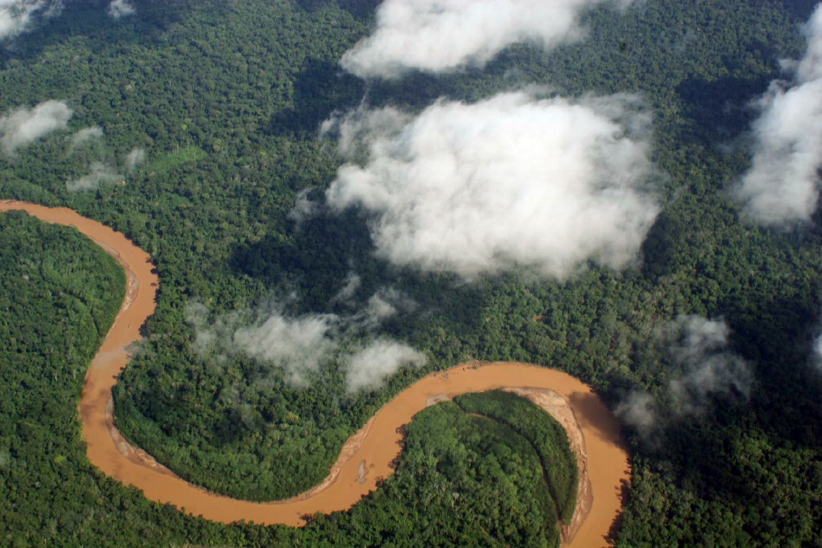 Brasil prepara cimeira para debater preservação da Amazónia