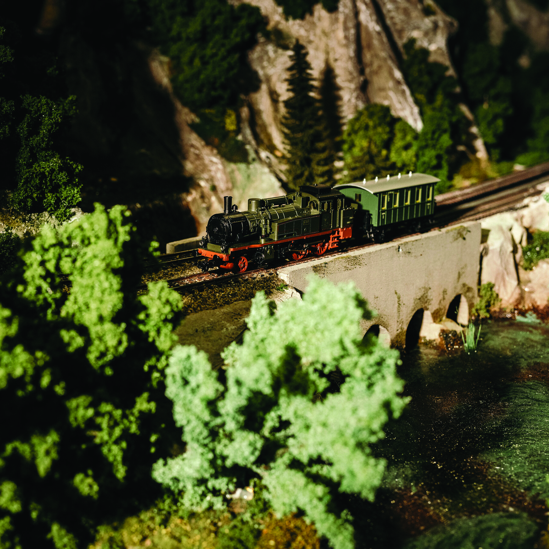 Essa magia única de um boi a olhar para um palácio