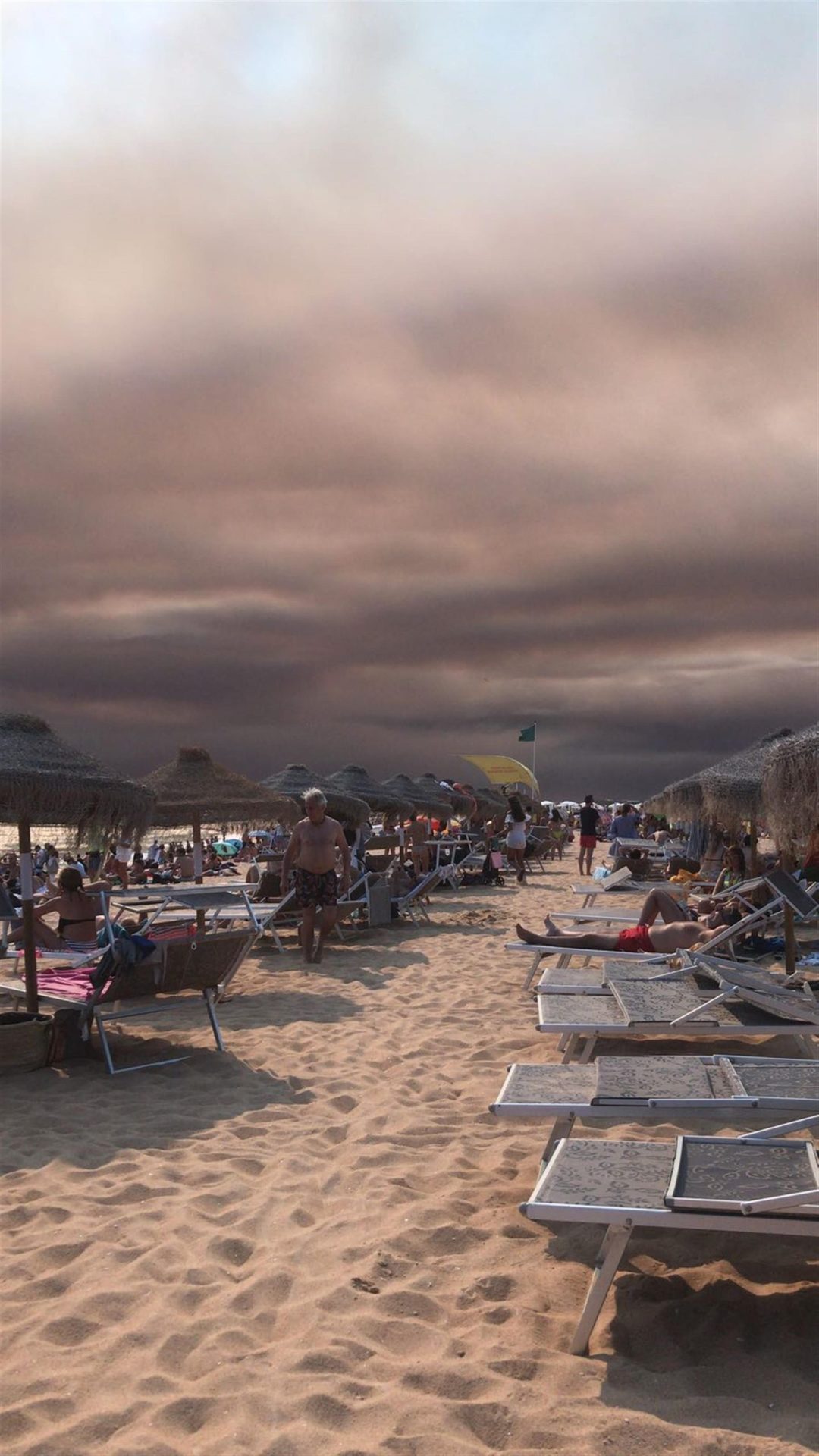 Monchique. Céu do Algarve transformou-se num manto negro | FOTOS