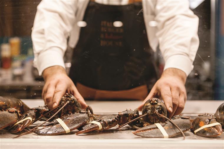 Turista paga 200 euros por lagosta num restaurante e devolve-a ao mar