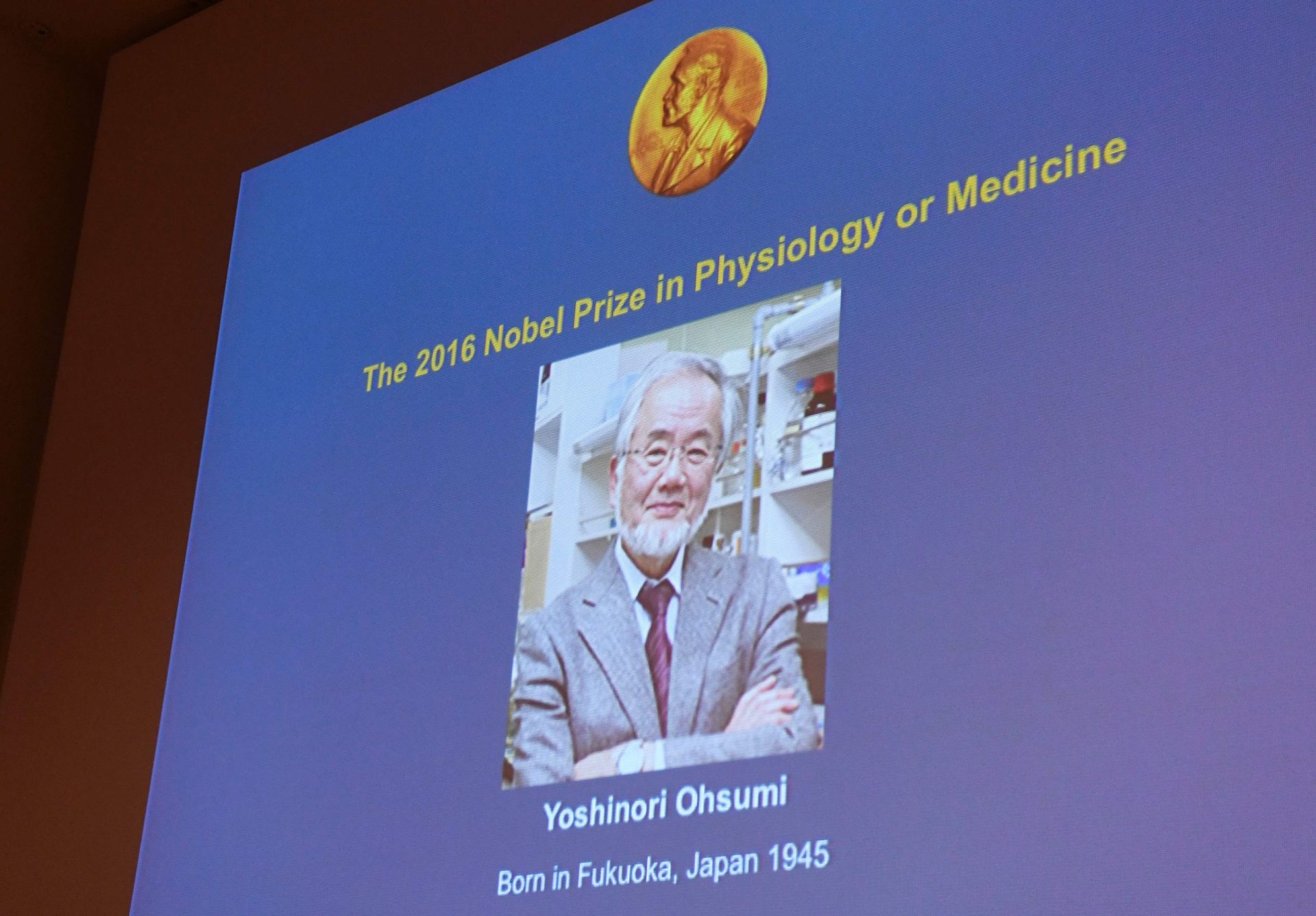 Nobel da Medicina atribuído a japonês Yoshinori Ohsumi