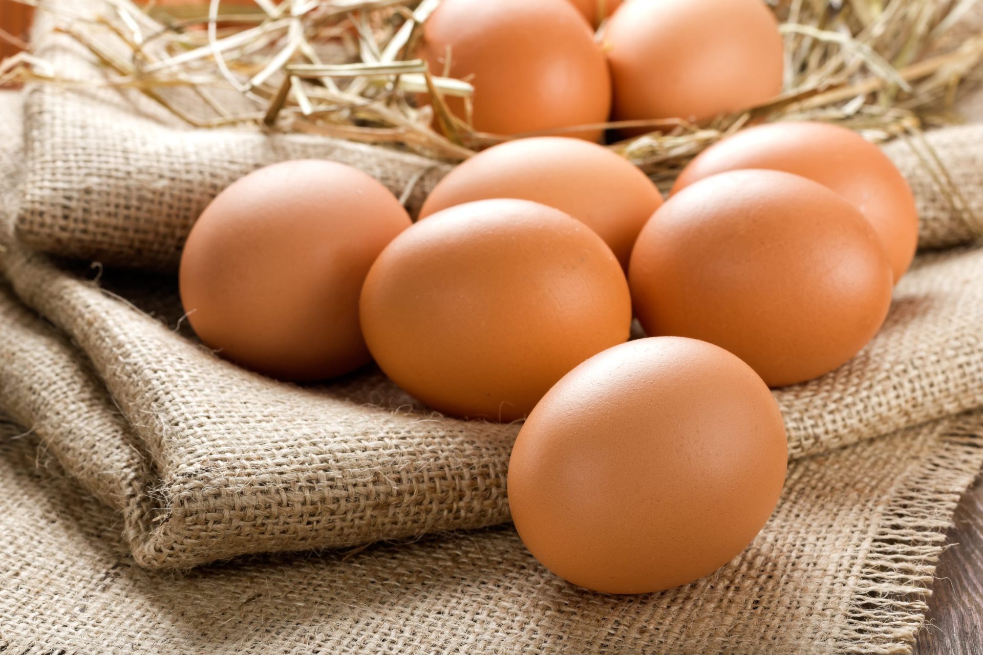 Ciência. Afinal, quem nasceu primeiro: o ovo ou a galinha?
