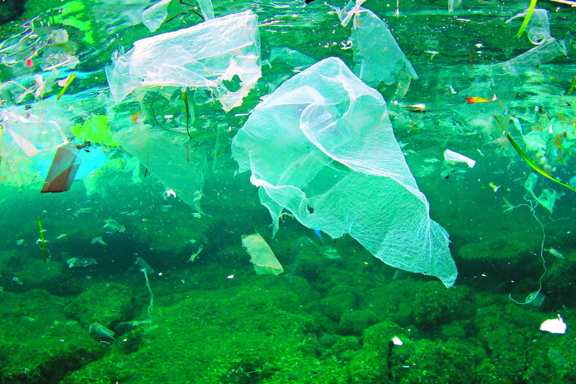 Lixo. Mar português tem mais de 750 mil objetos a boiar