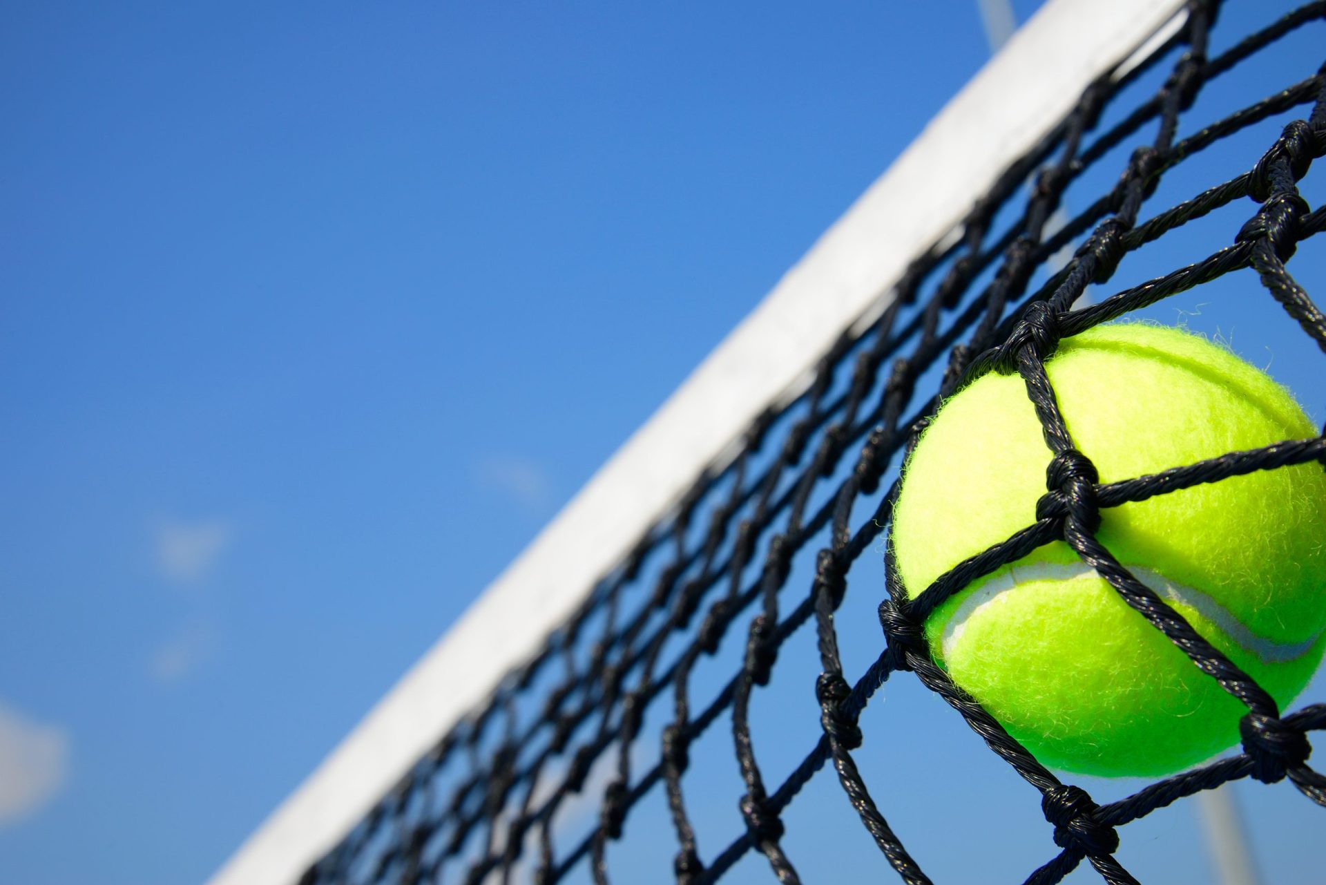 Apostas legais no ténis valem 7,8 milhões de euros por ano