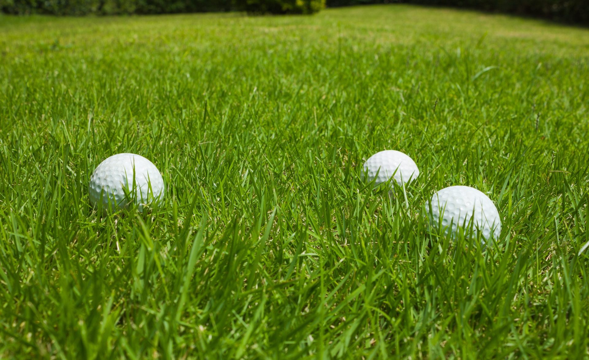 Golfe. Filipe Lima desqualificado do Australian PGA Championship