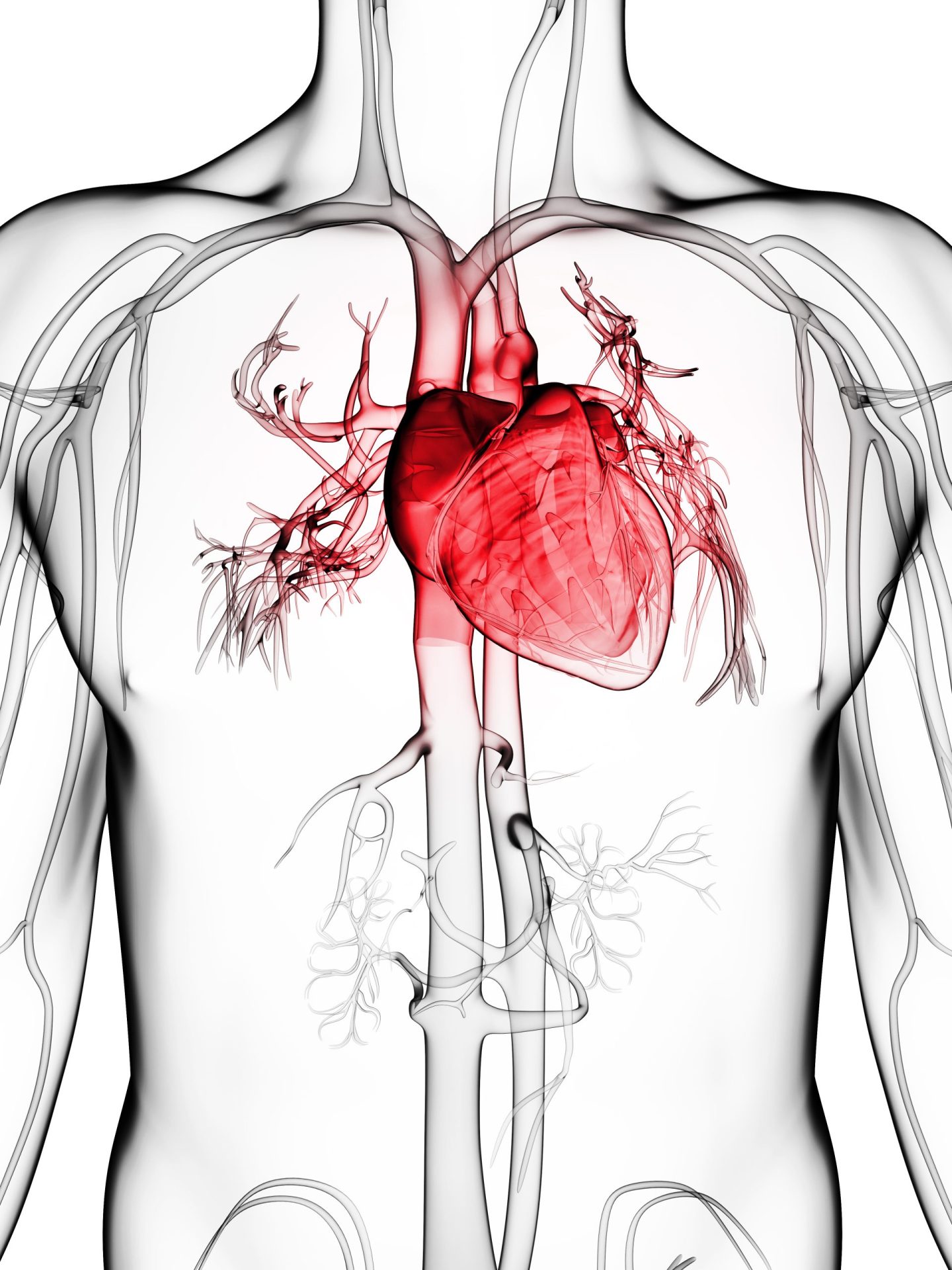 Hábito português ajuda a diminuir risco de ataque cardíaco